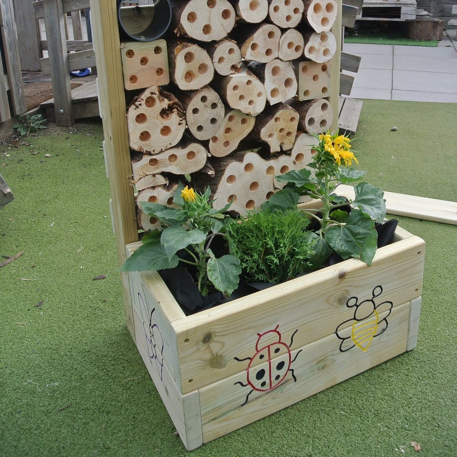 Bugs Life & Planter