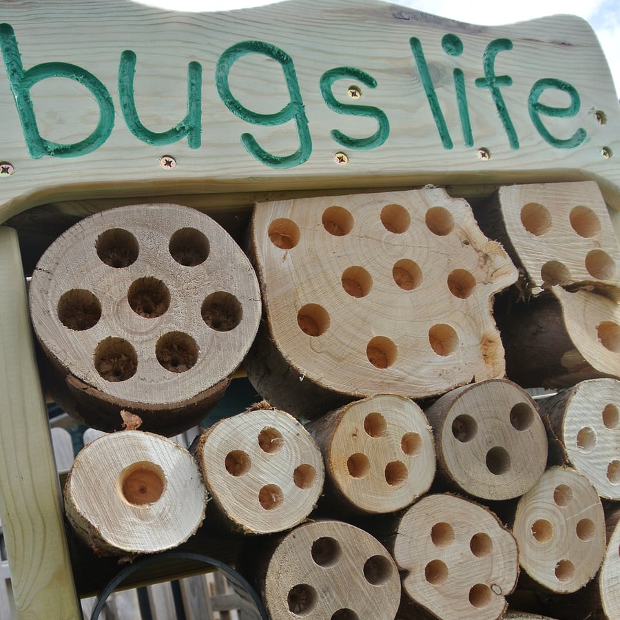 Bugs Life