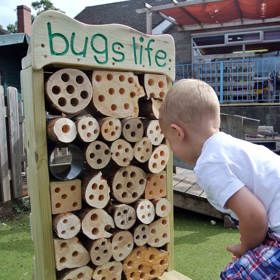 Bugs Life