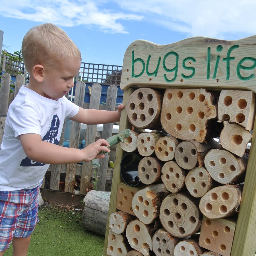 Bugs Life