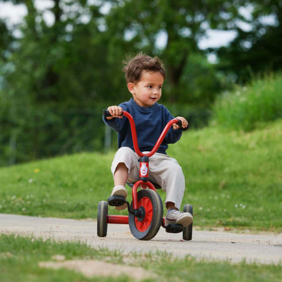 Mini Viking Learning To Ride Bundle 1 - 2x Low Tricycle