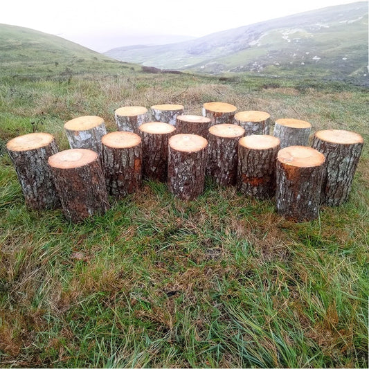 Ampitheatre Seating Half Set (16)