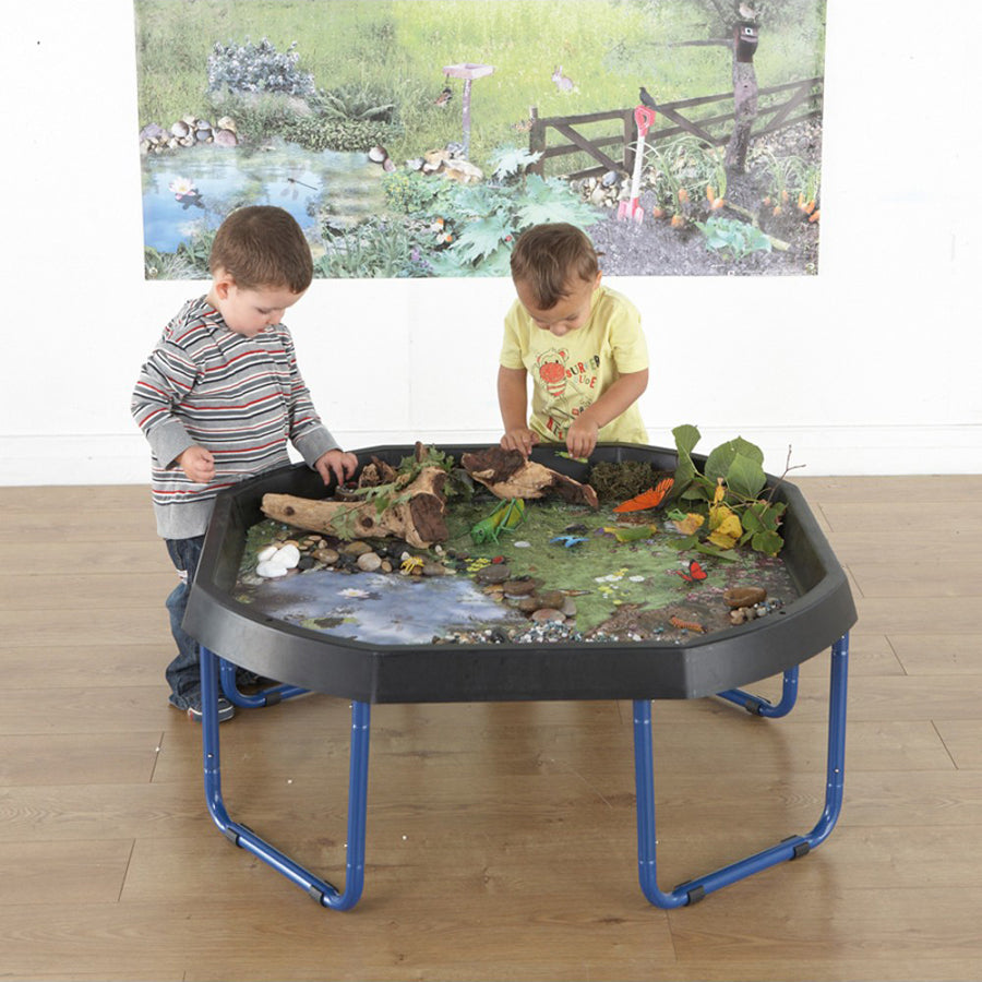 Black Tuff Tray & Blue Stand with FREE Tray Cover