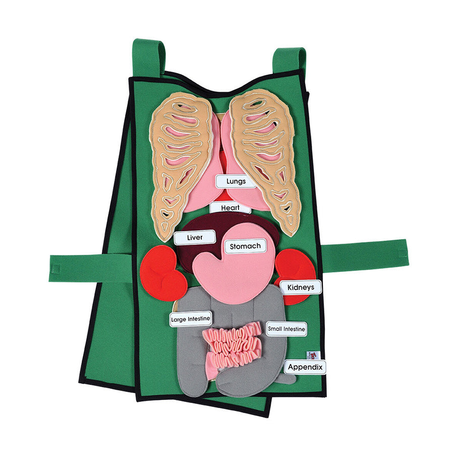 Organ Tunic & Organ Set