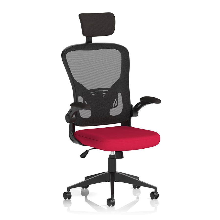 Ace Executive Mesh Chair With Folding Arms