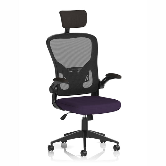 Ace Executive Mesh Chair With Folding Arms