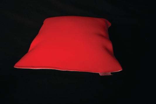 Glo Cushion Single Red With Squeak