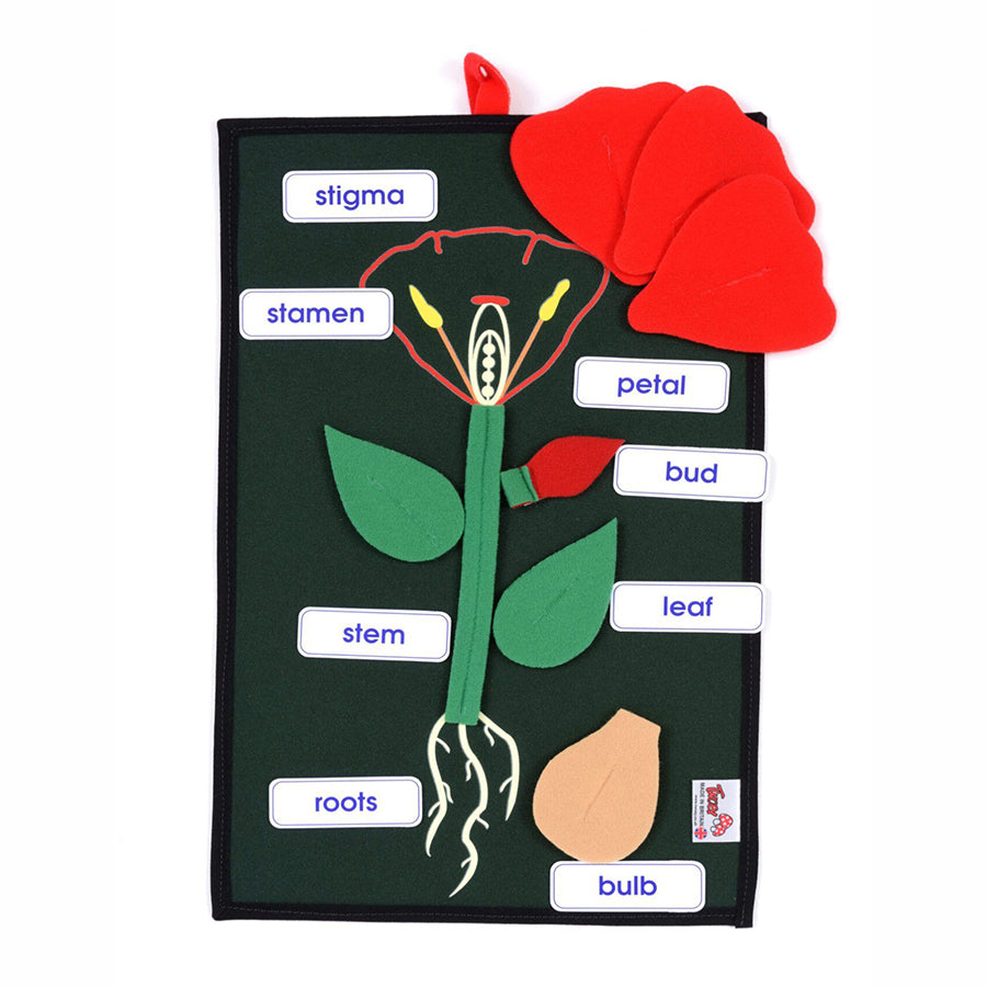Plant In A Pocket