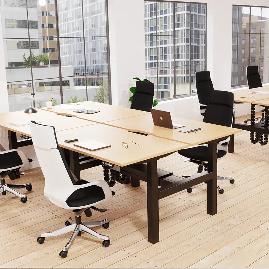 Xenon High Back Executive Office Chair with Arms