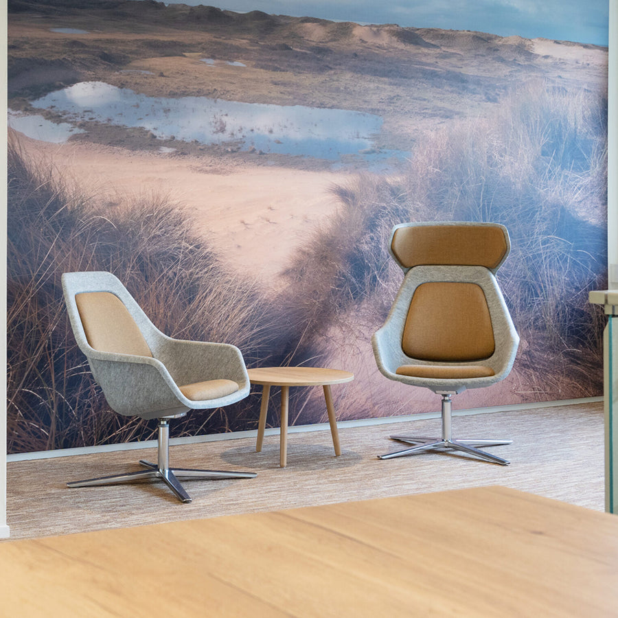 Felt Relax Four Star Frame Chair
