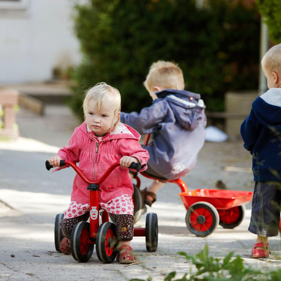 Mini Viking Push Bike For One - Ages 1-3