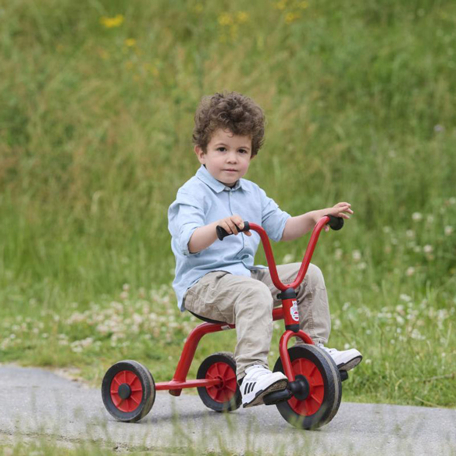 Mini Viking Tricycle With Plate - Ages 2-4