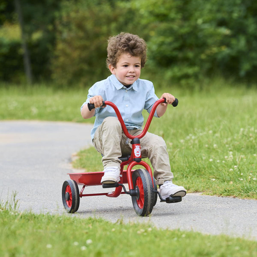 Mini Viking Tricycle With Tray - Ages 2-4