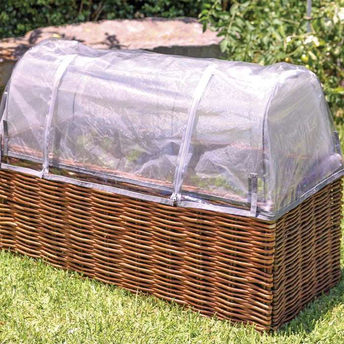 Planter Starter Set (Links To C3679)