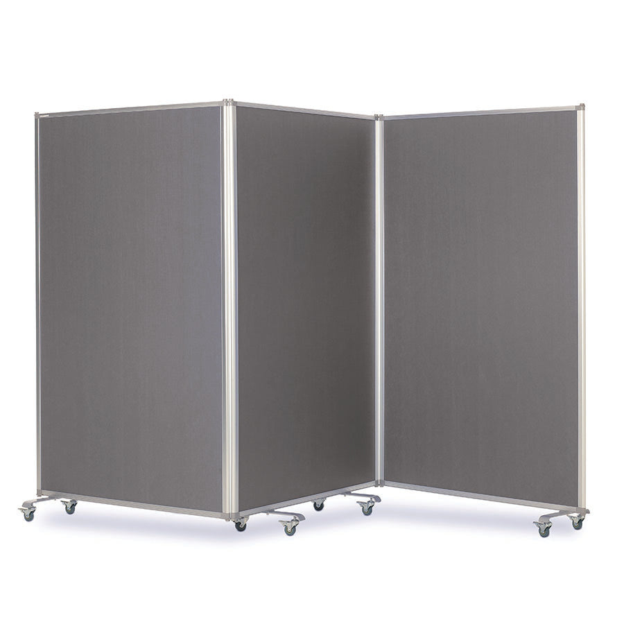 Mobile Tri Screen