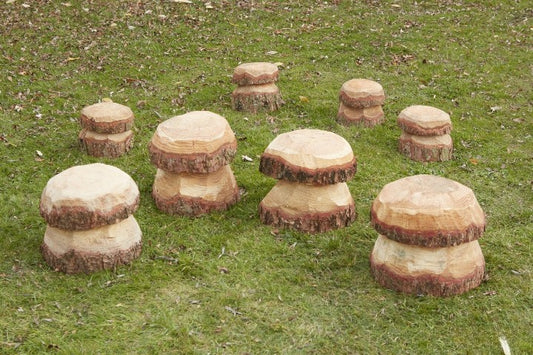 Medium Mushroom (12Pk)