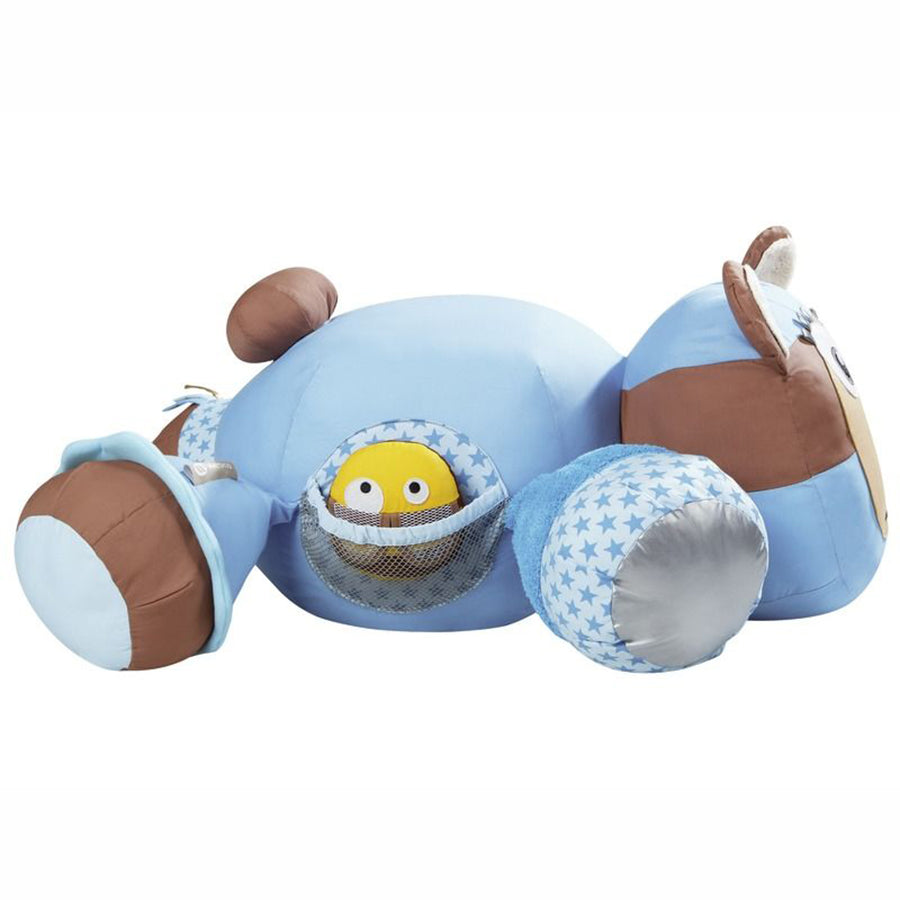Actinimos Bear