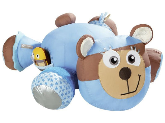 Actinimos Bear