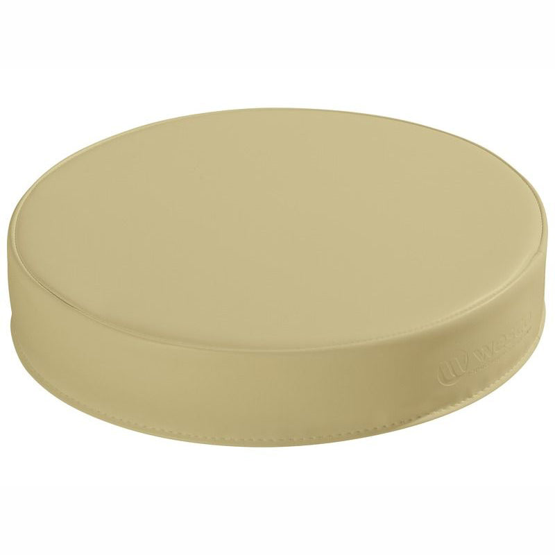 Disc Cushion