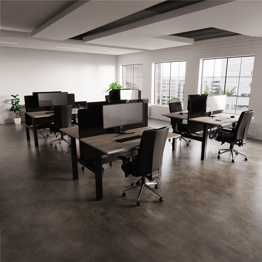 Air Back to Back Height Adjustable 2 Person Bench Desks with Black Straight Screens and Chiro Plus Office Chairs