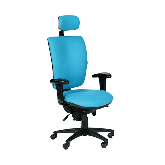 Ergonomic 24hr Task Chair Height Adjustable Arms with Head Rest