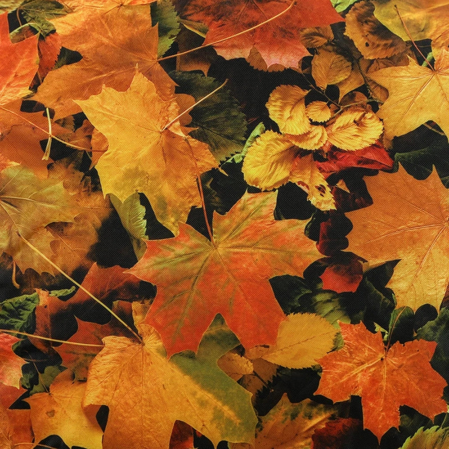 Eden Learning Learn About Nature Autumn Leaves Floor Cushion ED1KBGLEAVES 88881 7