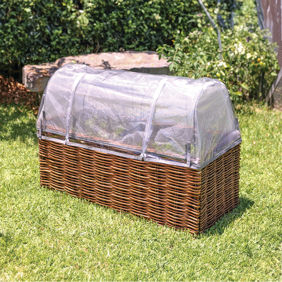 Planter Starter Set