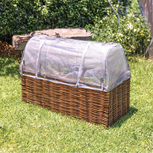 Planter Starter Set