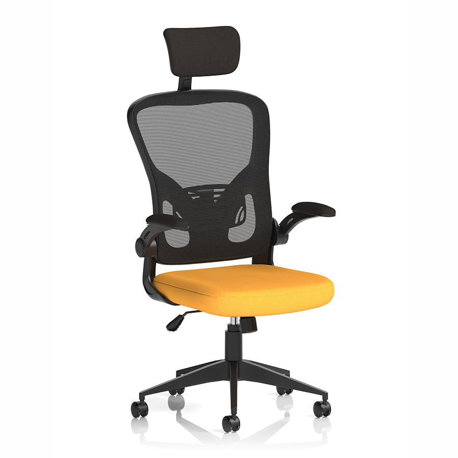 Ace Executive Mesh Chair With Folding Arms