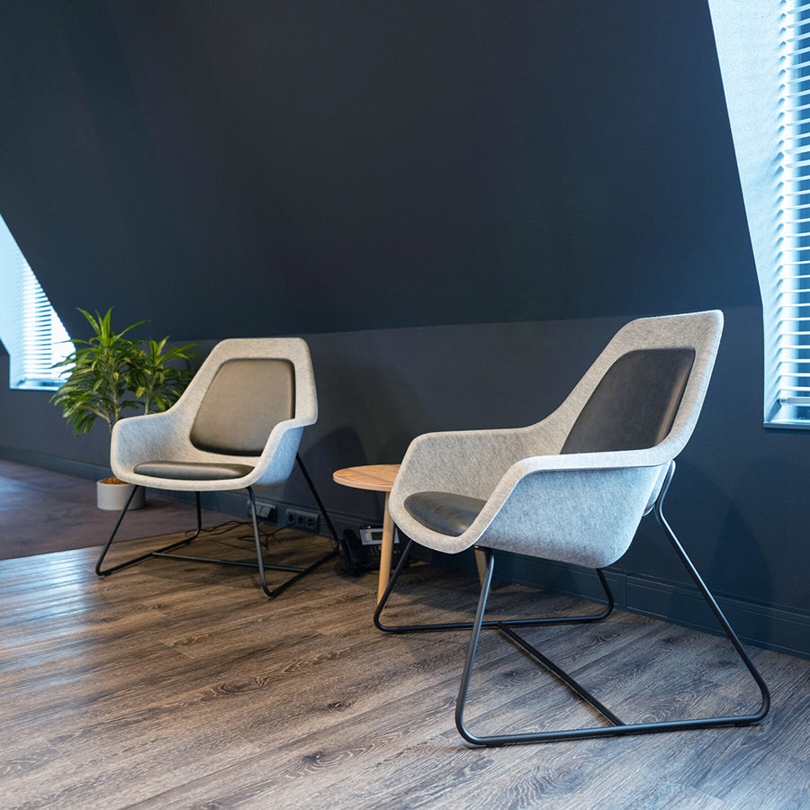 Felt Relax Skid Frame Chair