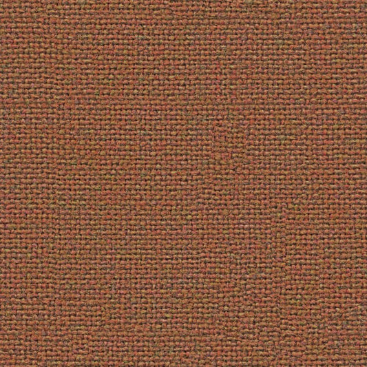 AD098-Tawny