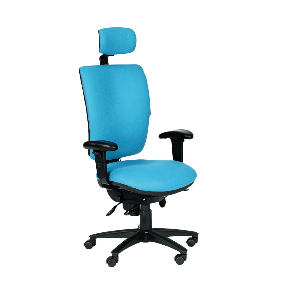 Ergonomic 24 Hour Task Chair Fixed Arms With Head Rest