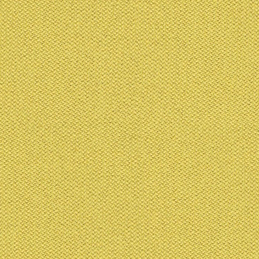CSE03-Lifetime
