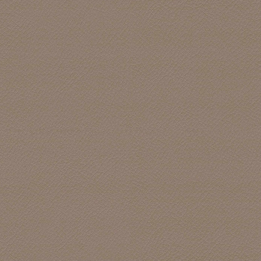 ITA02-Oatmeal