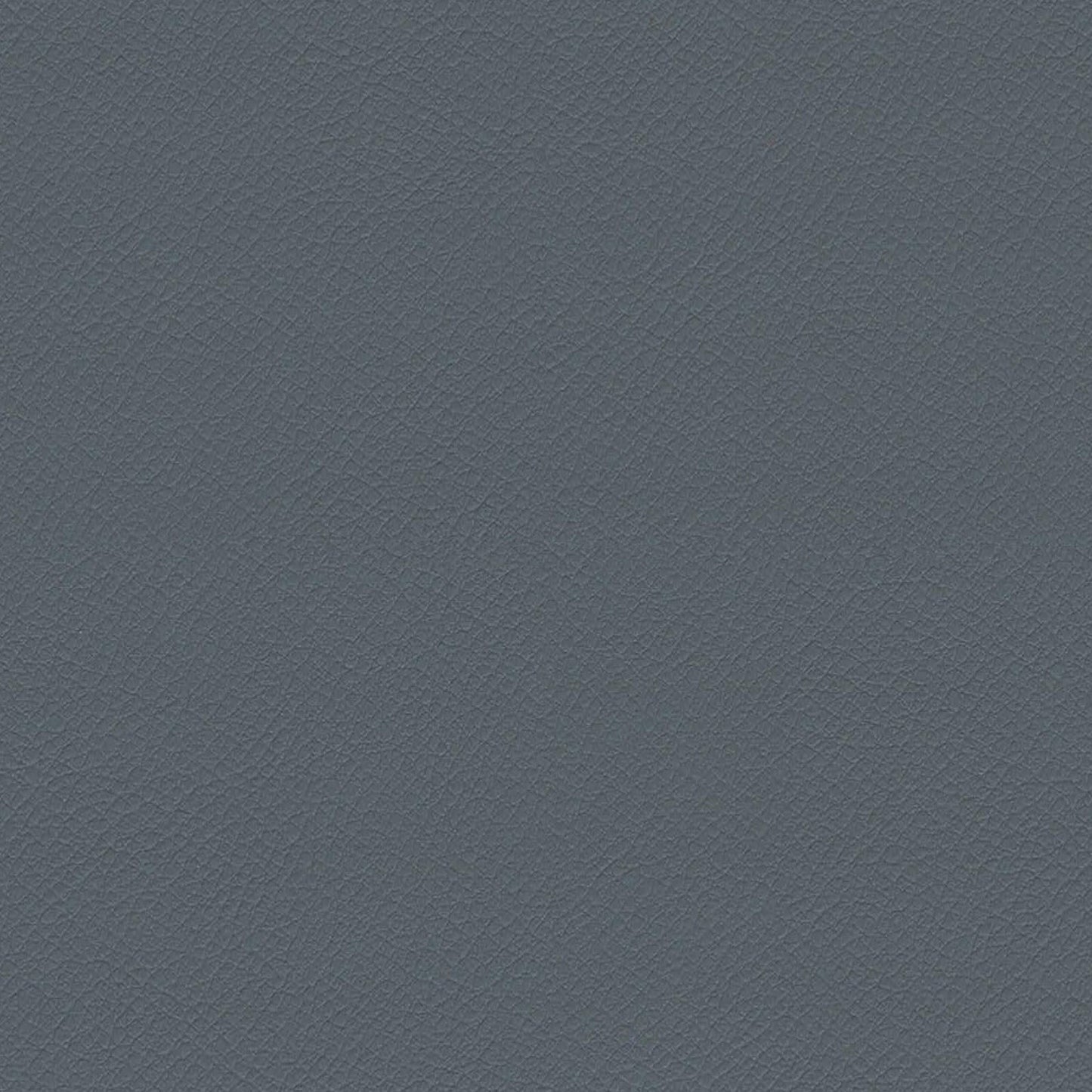 ITA04-Koala