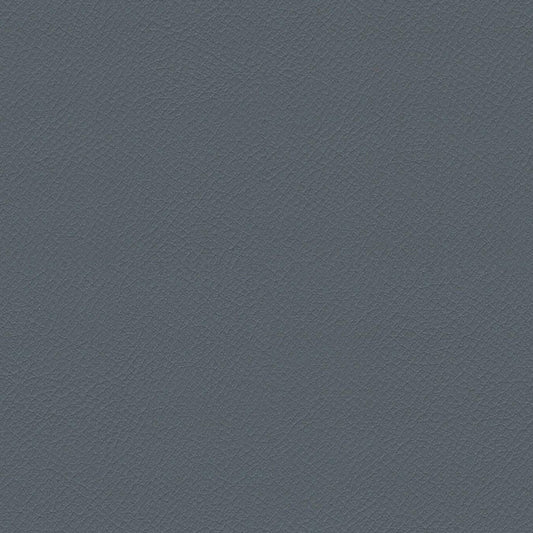 ITA04-Koala