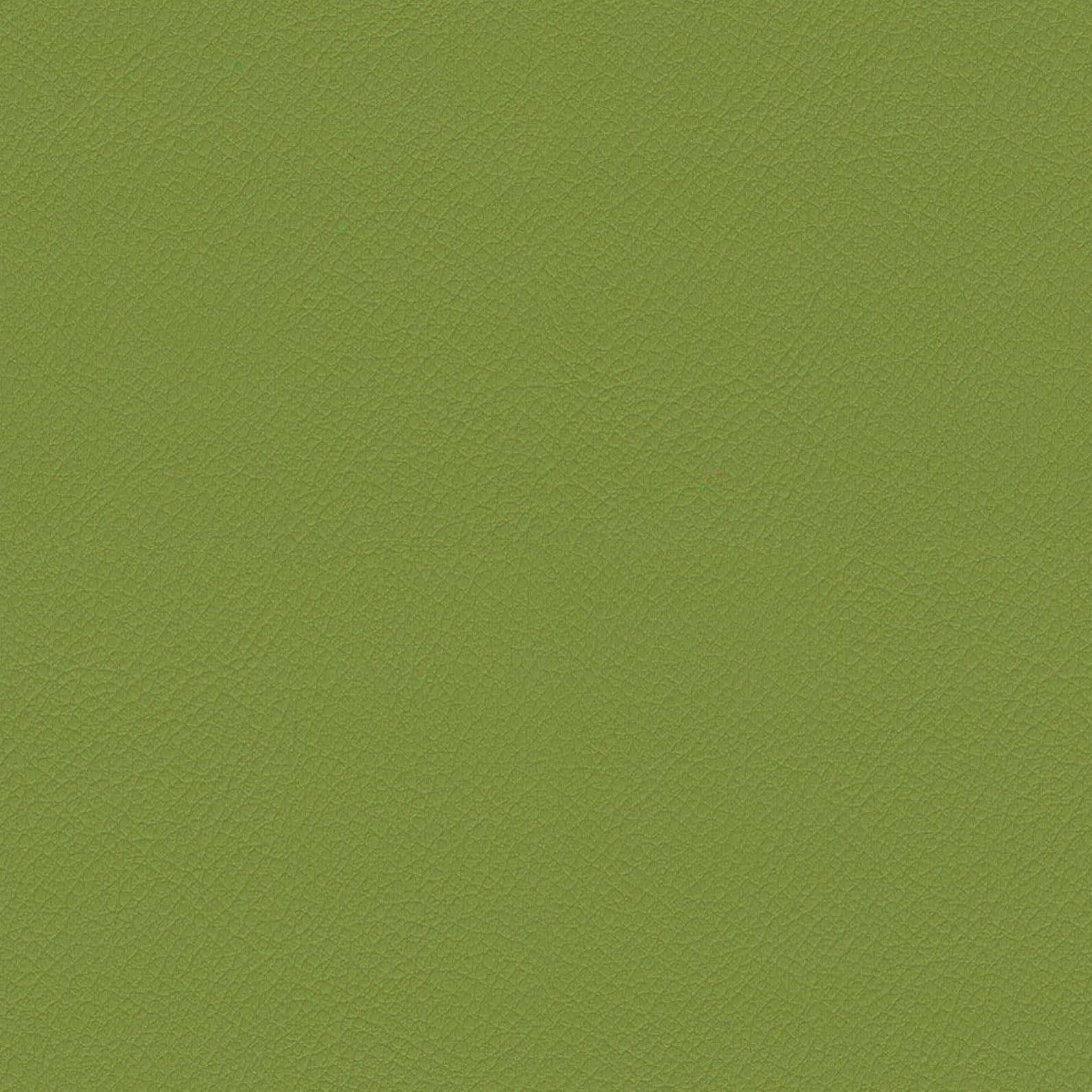 ITA06-Avocado