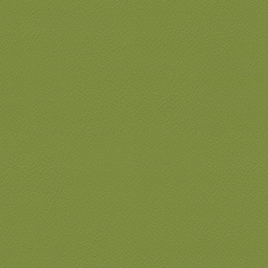 ITA06-Avocado