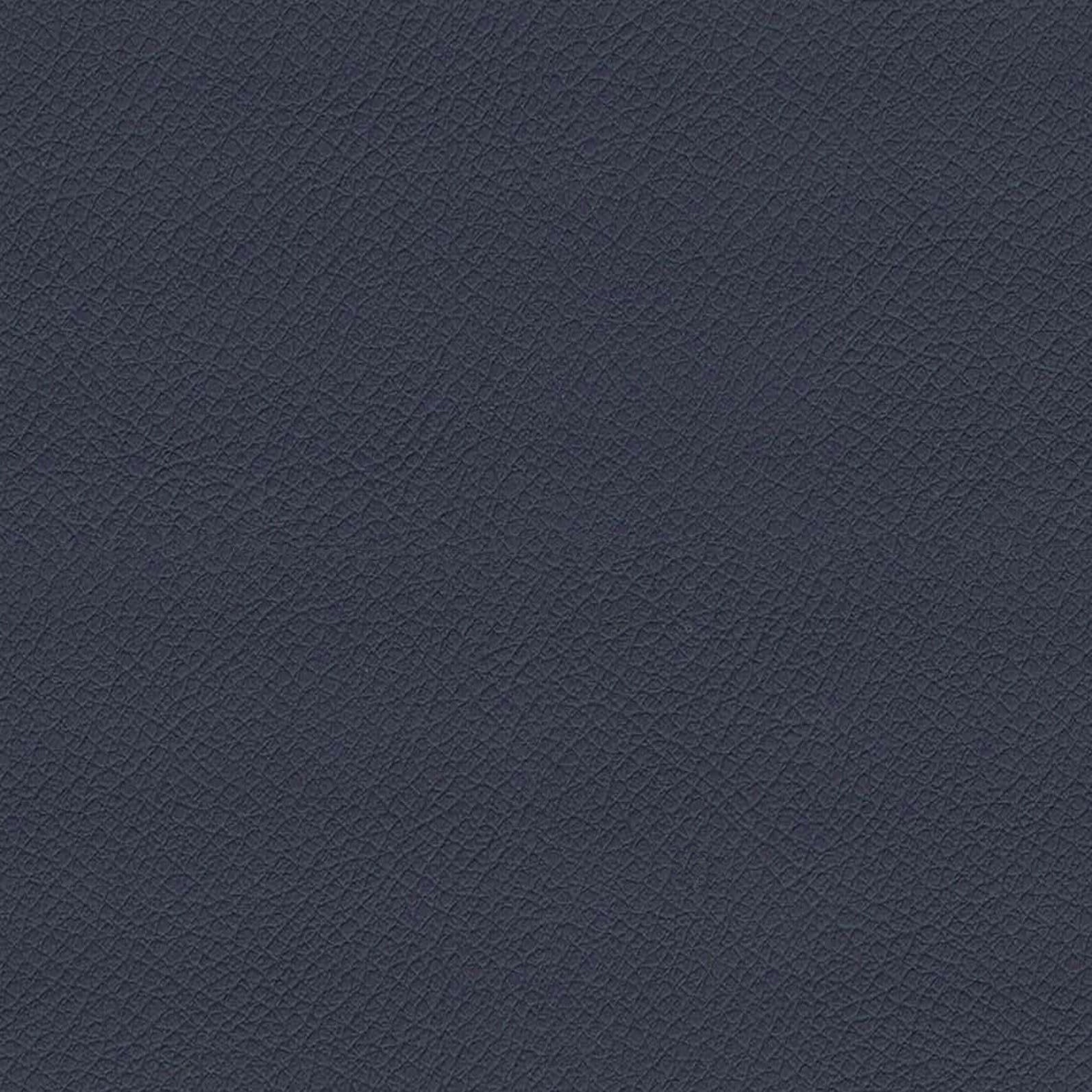 ITA07-Hippo