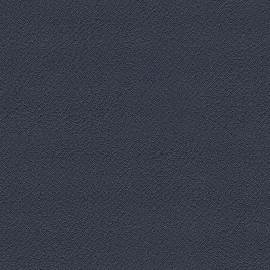 ITA07-Hippo