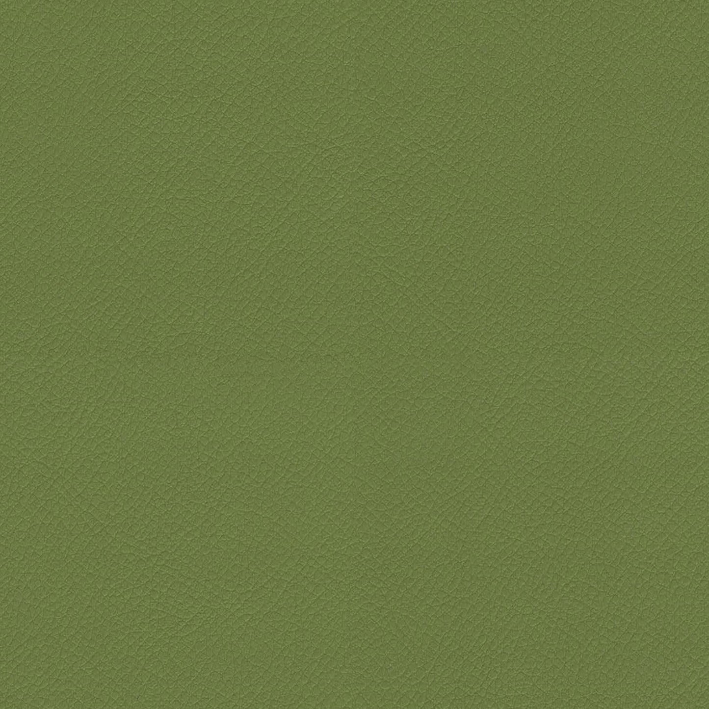ITA09-Olive