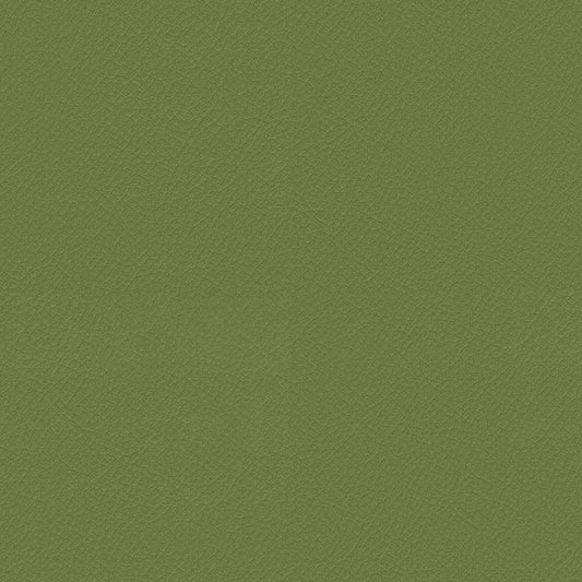 ITA09-Olive