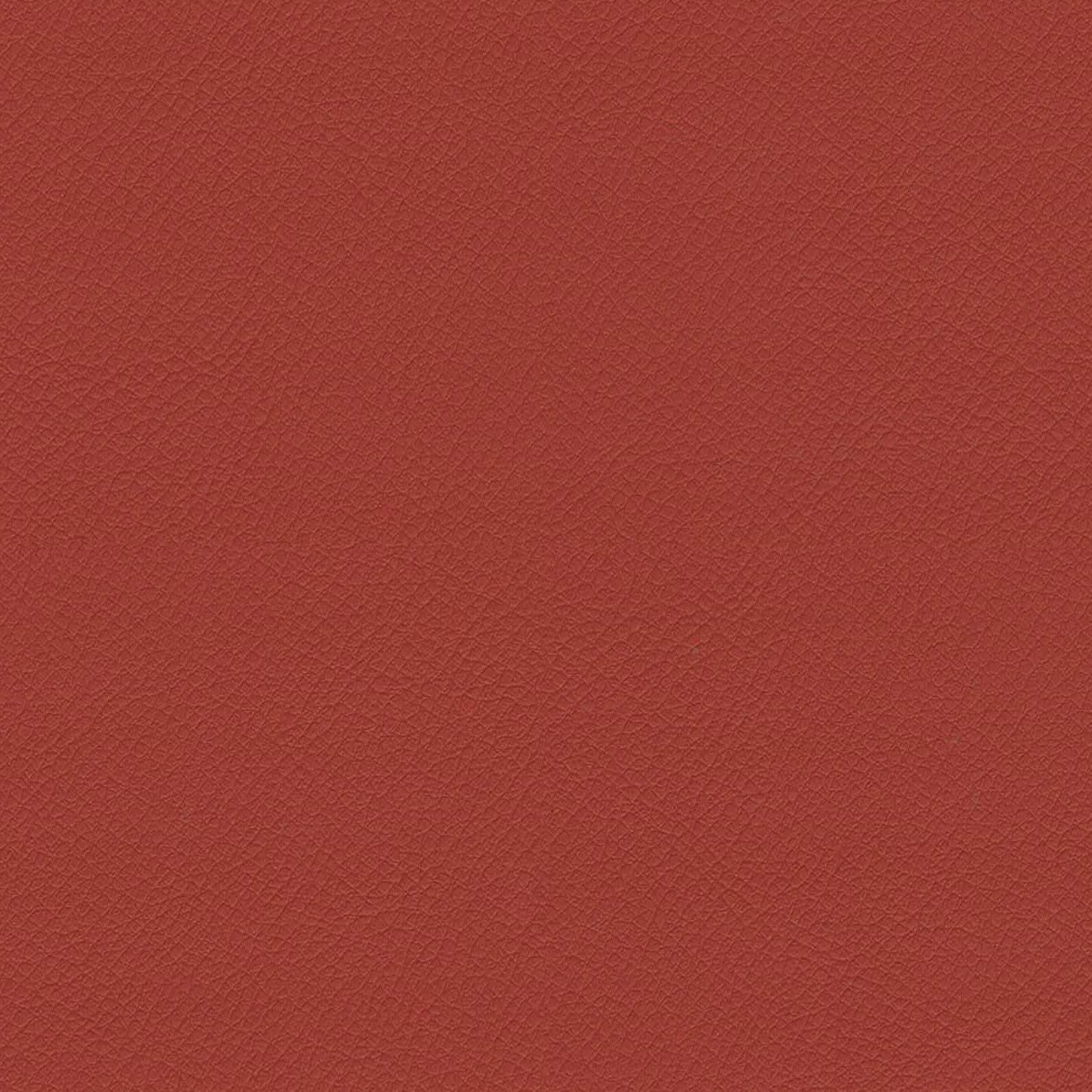 ITA11-Rust