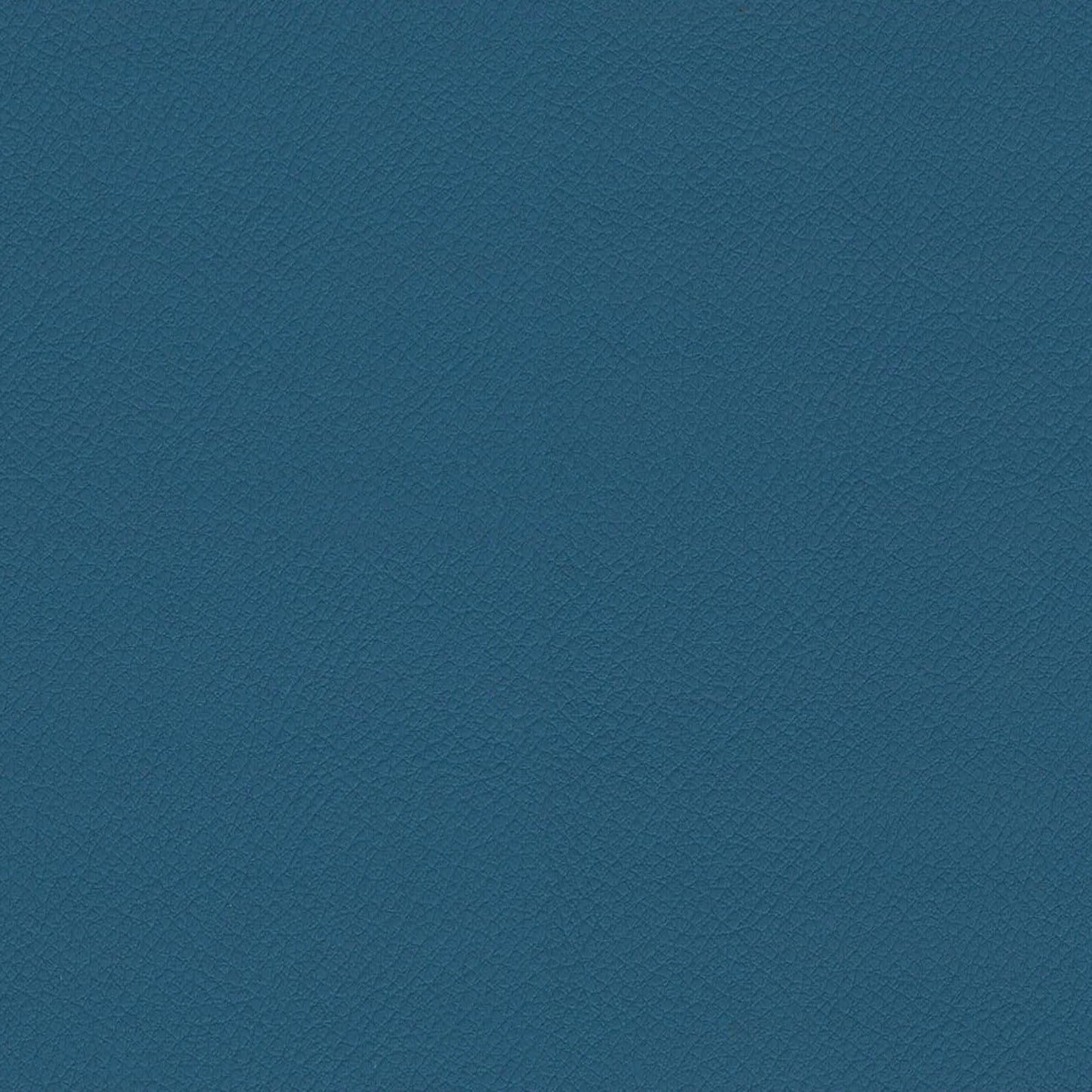 ITA19-Peacock