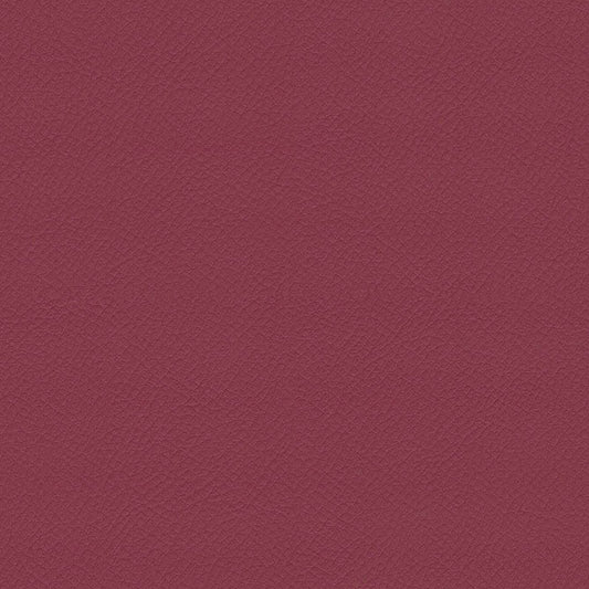 ITA20-Pink