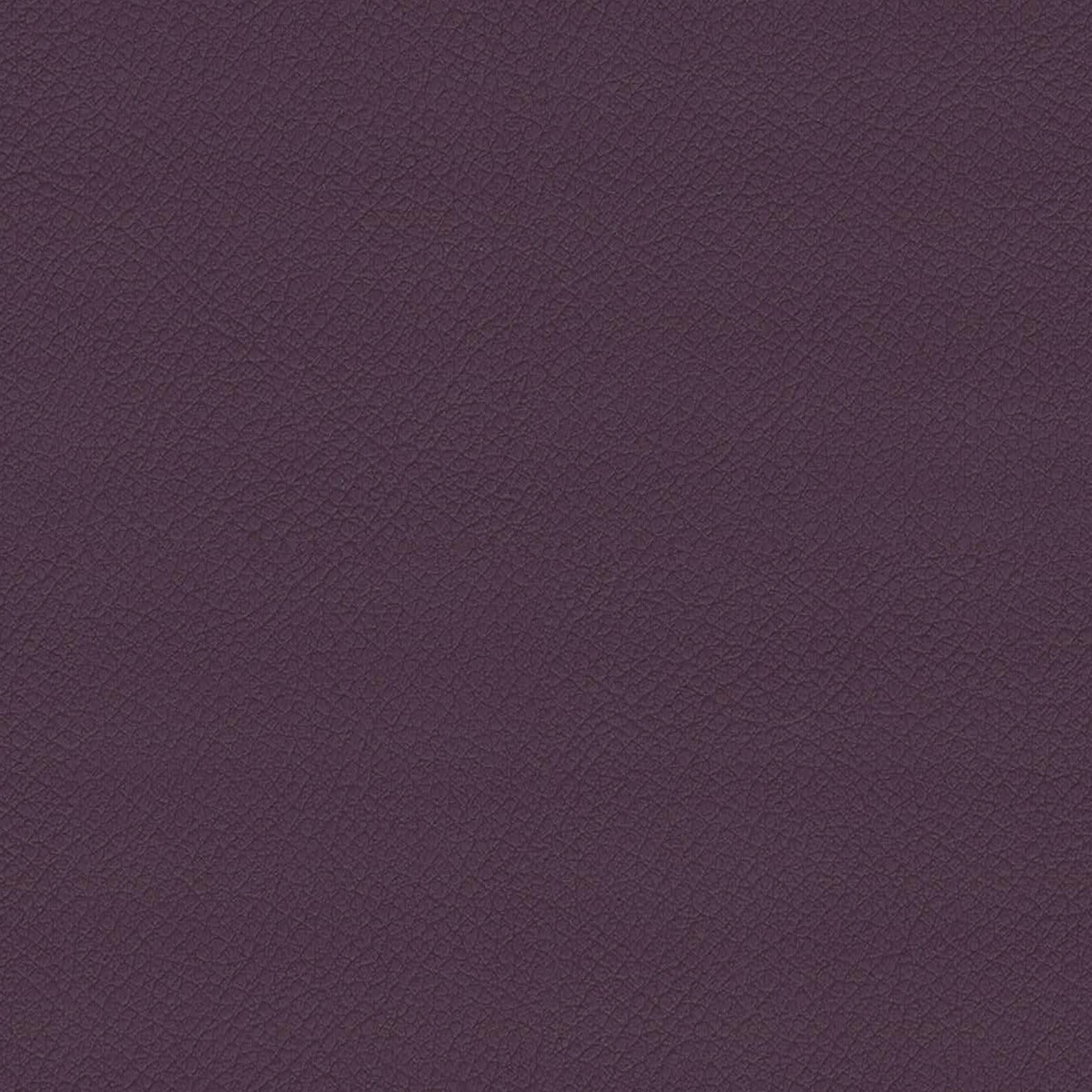 ITA23-Plum