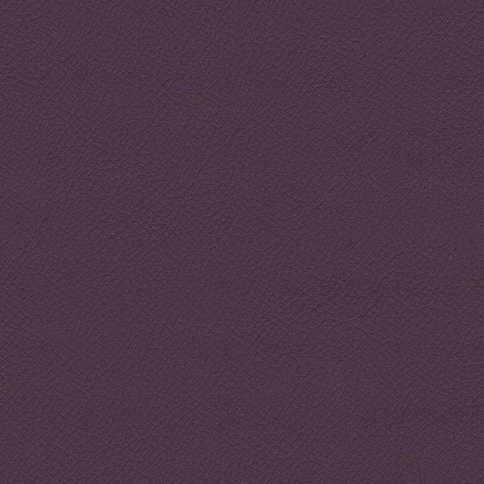 ITA23-Plum