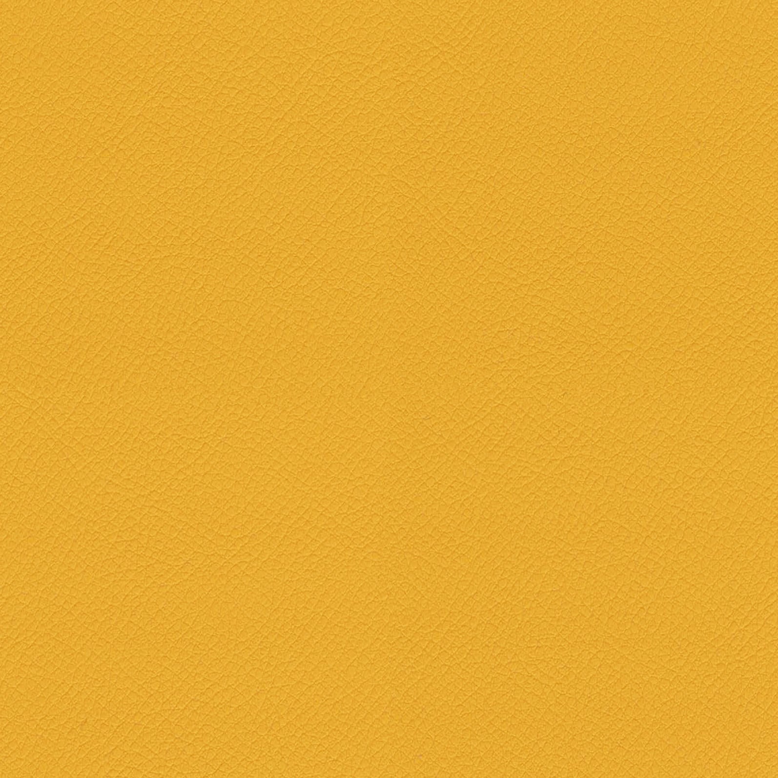 ITA33-Lemon