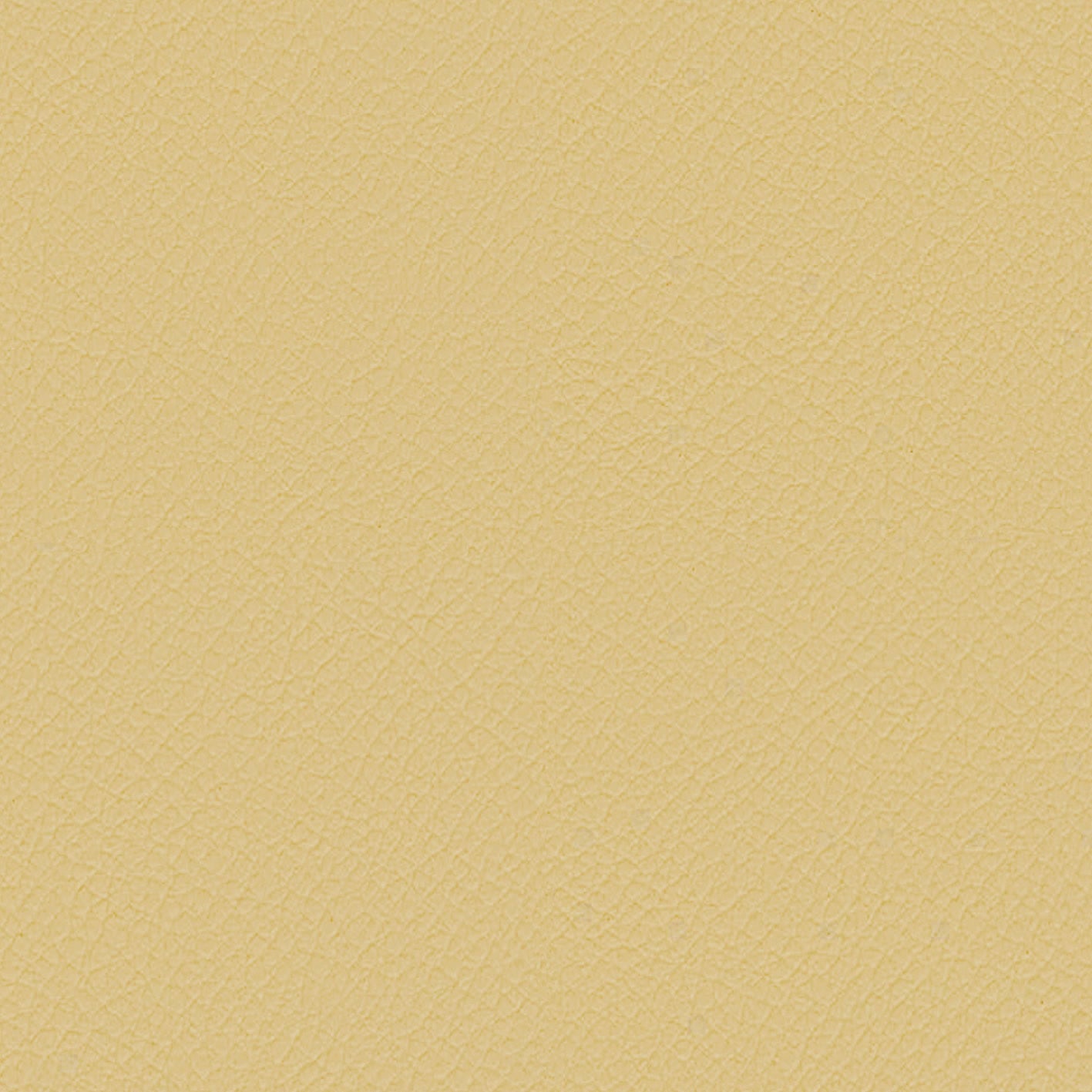 ITA37-Cornsilk