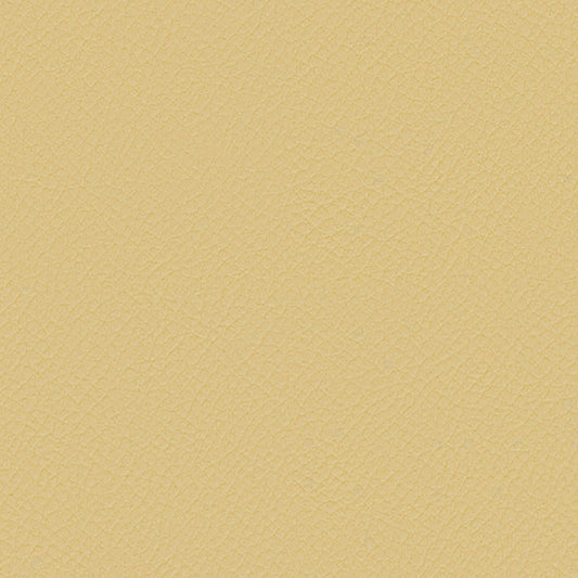 ITA37-Cornsilk
